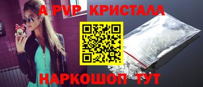 крисы Моздок