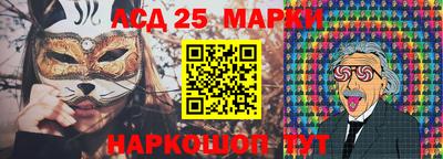 крисы Моздок