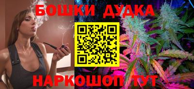 крисы Моздок