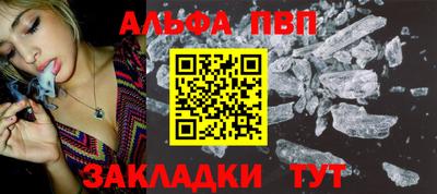 крисы Моздок