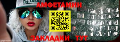 крисы Моздок