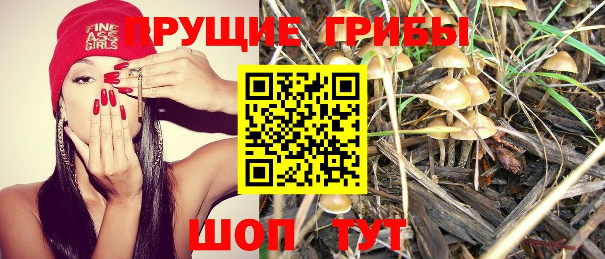 Псилоцибиновые грибы GOLDEN TEACHER Бугуруслан