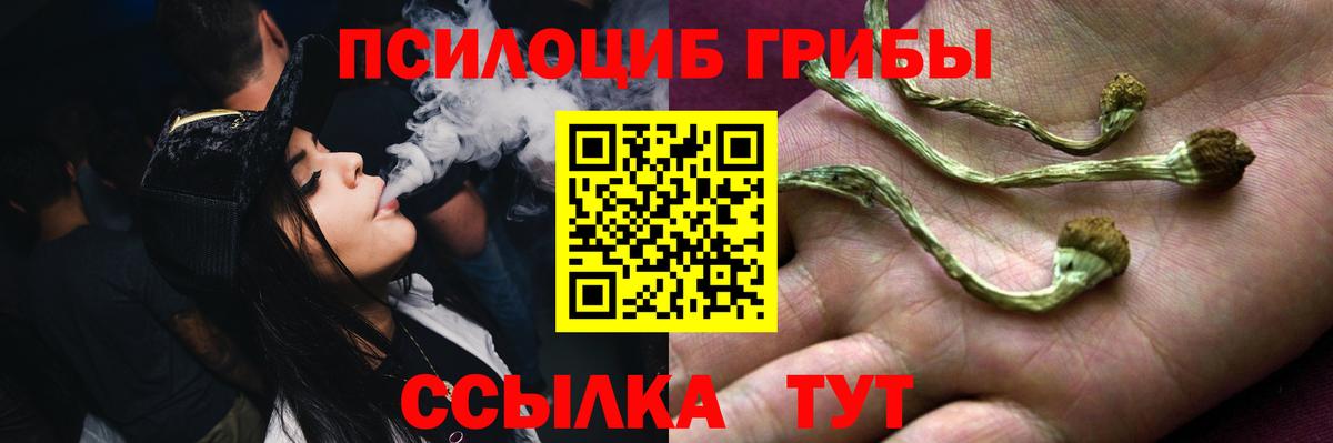 Бугуруслан  Псилоцибиновые грибы ЛСД  Вход с VPN 